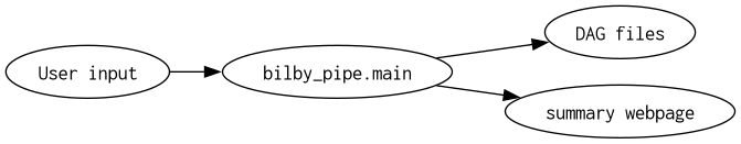 digraph {
rankdir="LR";
"User input" -> "bilby_pipe.main";
"bilby_pipe.main" -> "DAG files";
"bilby_pipe.main" -> "summary webpage";
}