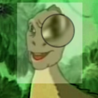 User profile picture